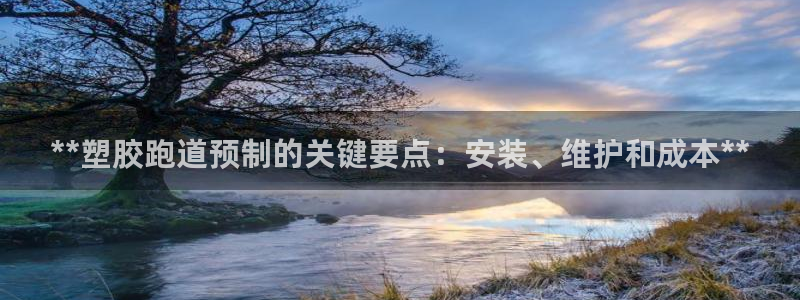 红足1世足球比分：**塑胶跑道预制的关键要点：安装、维护和成本**