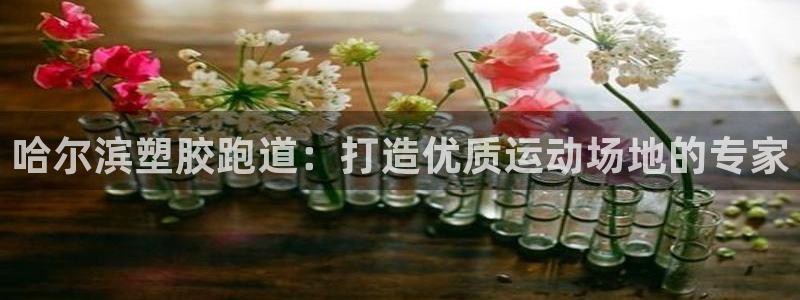 红足一1世66814新宝：哈尔滨塑胶跑道：打造优质运动场地的专家