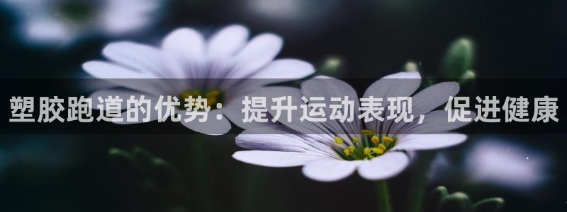 红足一1世手机版赛果