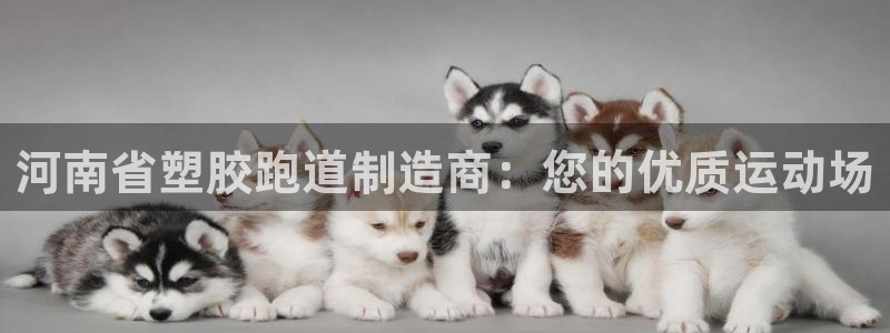 333814红·足一世比分