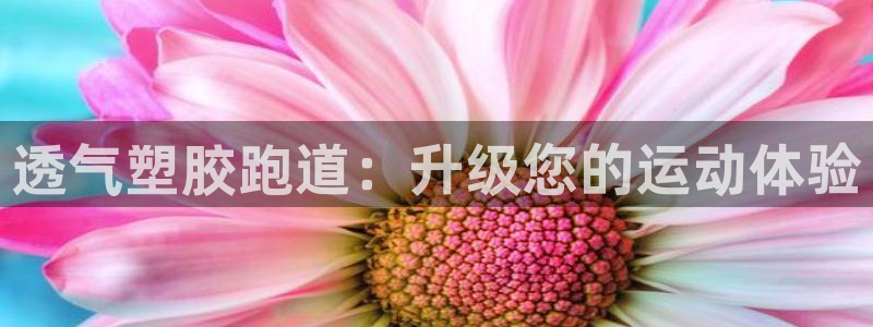 红世一足球比分