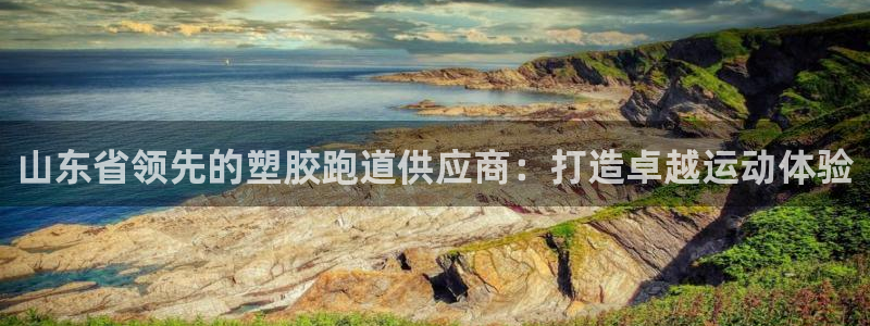 红足一生世：山东省领先的塑胶跑道供应商：打造卓越运动体验