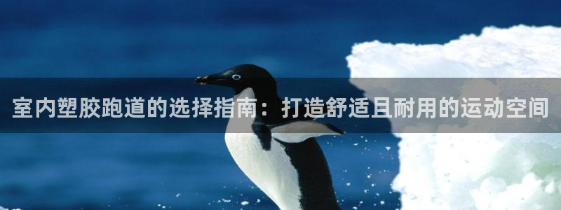 红足一生世：室内塑胶跑道的选择指南：打造舒适且耐用的运动空间