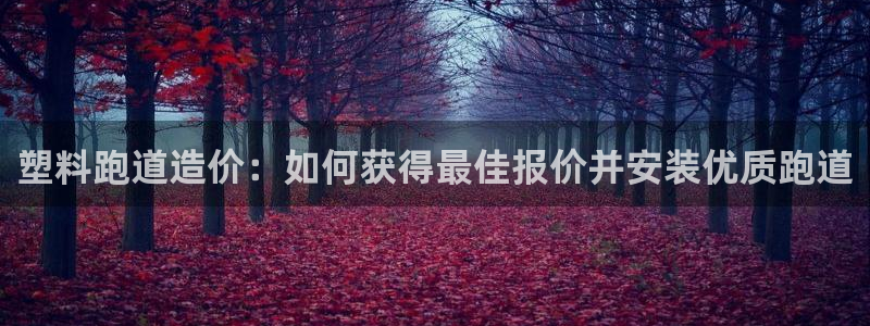 百度红足一1使用说明：塑料跑道造价：如何获得最佳报价并安装优质跑道
