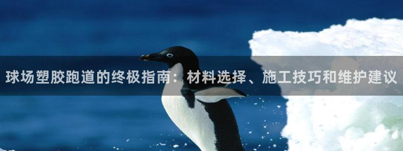红足1一世：球场塑胶跑道的终极指南：材料选择、施工技巧和维护建议