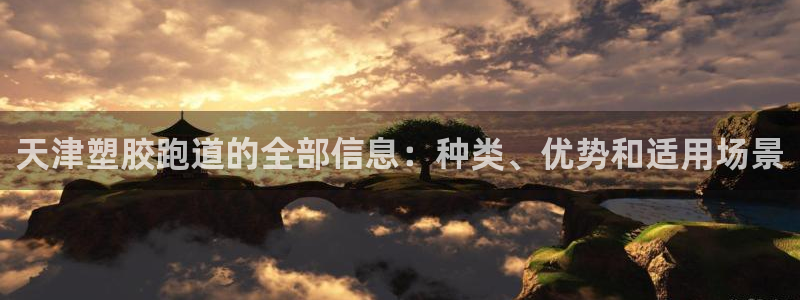 红足一：天津塑胶跑道的全部信息：种类、优势和适用场景