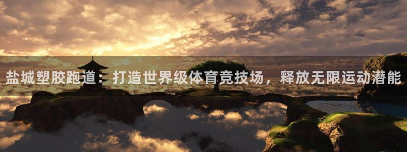 红足一1世开奖记录：盐城塑胶跑道：打造世界级体育竞技场，释放无限运动潜能