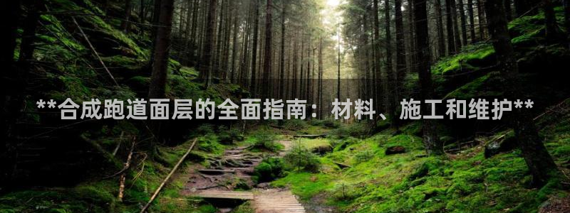 红足一1世666814最新结果：**合成跑道面层的全面指南：材料、施工和维护**