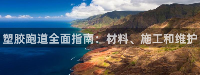 红足i世足球手机网：塑胶跑道全面指南：材料、施工和维护