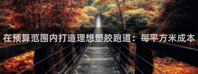 红足1世足球网址：在预算范围内打造理想塑胶跑道：每平方米成本