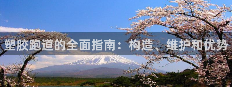 红足一比分网：塑胶跑道的全面指南：构造、维护和优势