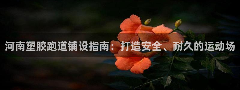 红足一1世77814：河南塑胶跑道铺设指南：打造安全、耐久的运动场