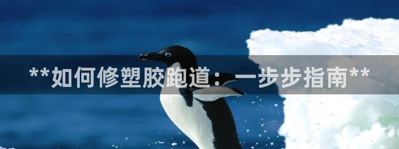 百度红足一1是干什么的：**如何修塑胶跑道：一步步指南**