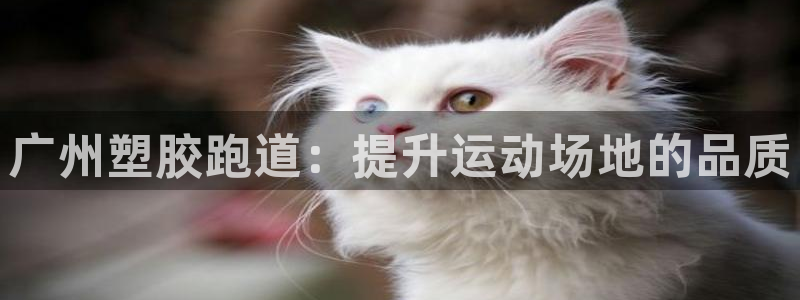 百度红足一1是干什么的：广州塑胶跑道：提升运动场地的品质