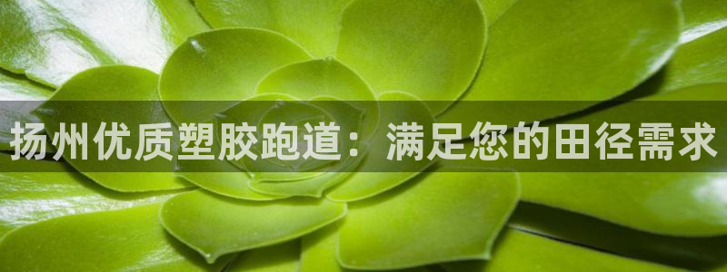 红足1一世红：扬州优质塑胶跑道：满足您的田径需求