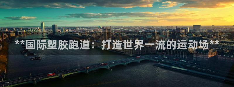 百度红足一1是什么样子的：**国际塑胶跑道：打造世界一流的运动场**