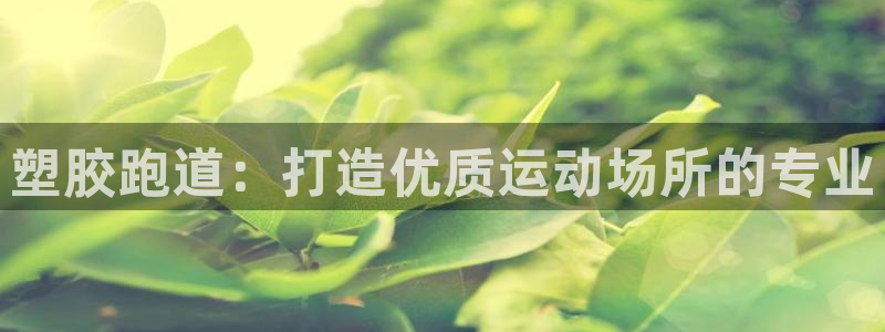 55814红足1世：塑胶跑道：打造优质运动场所的专业
