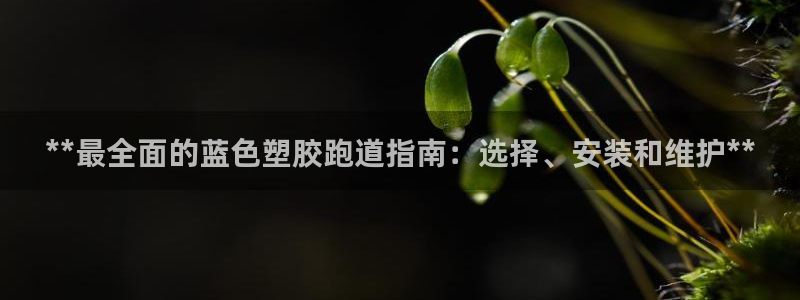 红足1世开奖预测：**最全面的蓝色塑胶跑道指南：选择、安装和维护**