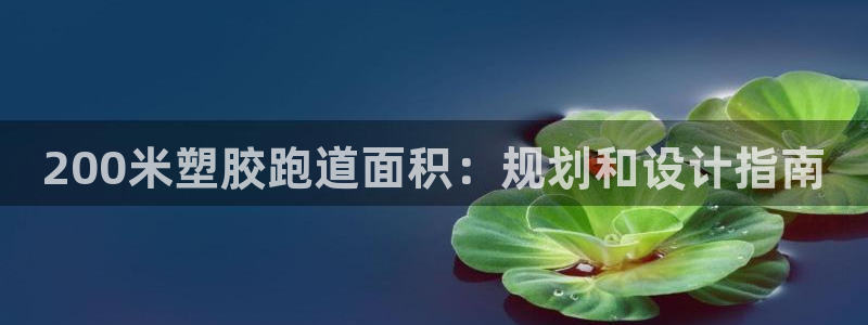 红足一1世66814：200米塑胶跑道面积：规划和设计指南