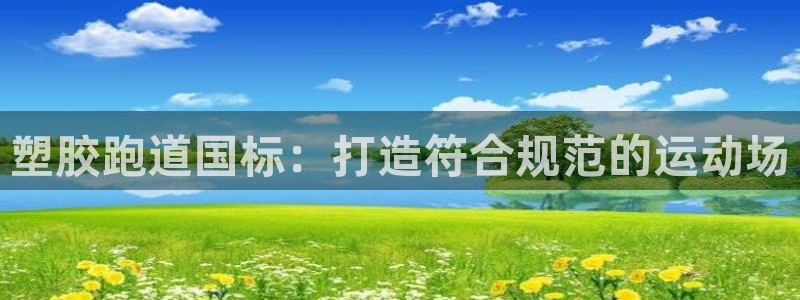 新2足球平台出租网站：塑胶跑道国标：打造符合规范的运动场