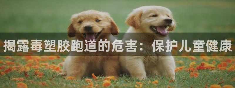 新2足球平台出租网站：揭露毒塑胶跑道的危害：保护儿童健康