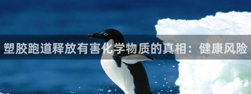 红足网足球直播：塑胶跑道释放有害化学物质的真相：健康风险