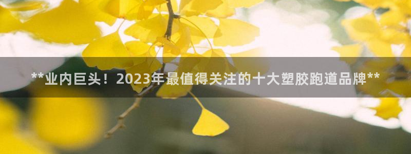 红足1一世足球手机：**业内巨头！2023年最值得关注的十大塑胶跑道品牌**