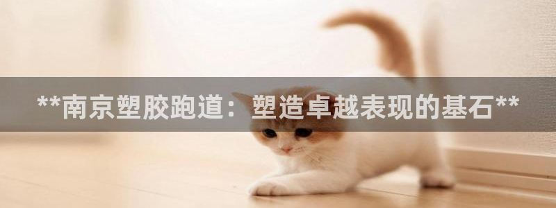 红足1世足球比分：**南京塑胶跑道：塑造卓越表现的基石**