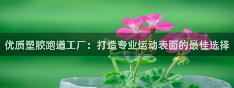 红足一球：优质塑胶跑道工厂：打造专业运动表面的最佳选择
