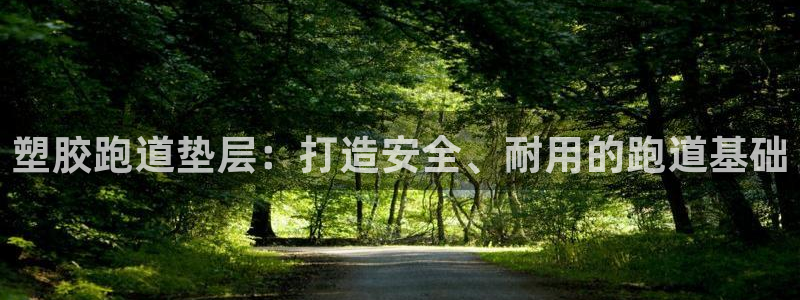 55814红足1世：塑胶跑道垫层：打造安全、耐用的跑道基础