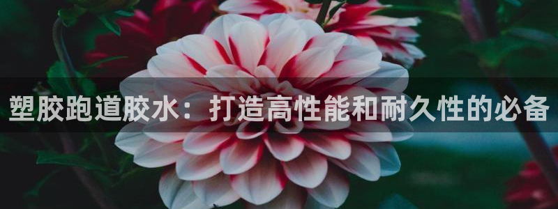 666814红·足一世比分：塑胶跑道胶水：打造高性能和耐久性的必备