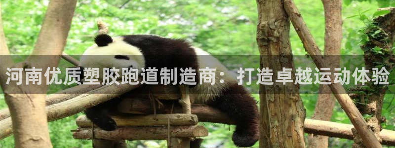 红足1一世足球手机：河南优质塑胶跑道制造商：打造卓越运动体验