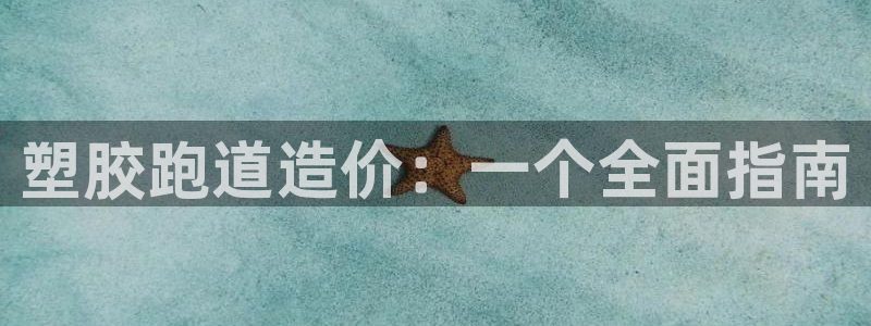 红足1一世 2站：塑胶跑道造价：一个全面指南