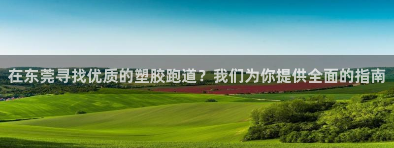 红足一1世666814最新结果：在东莞寻找优质的塑胶跑道？我们为你提供全面的指南
