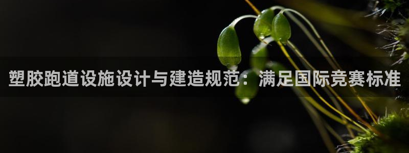 红足网足球直播：塑胶跑道设施设计与建造规范：满足国际竞赛标准