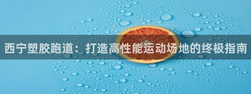 红足一一世：西宁塑胶跑道：打造高性能运动场地的终极指南
