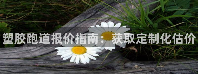 红足1世开奖预测：塑胶跑道报价指南：获取定制化估价