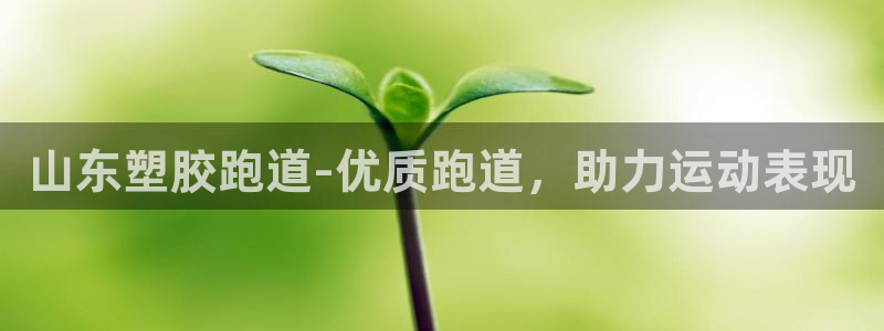 百度红足一1视频在线观看：山东塑胶跑道-优质跑道，助力运动表现