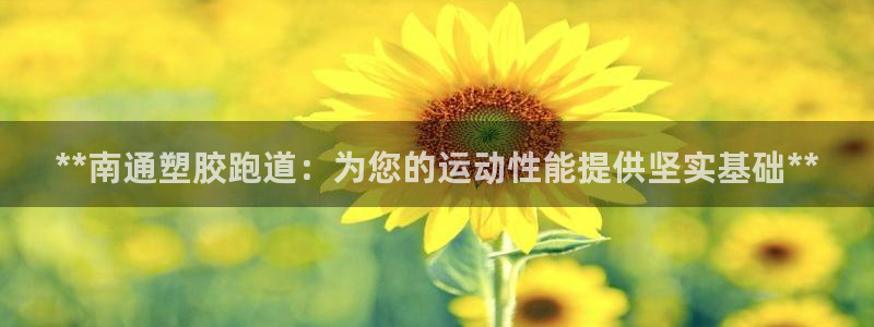 百度红足一1是什么样子的：**南通塑胶跑道：为您的运动性能提供坚实基础**