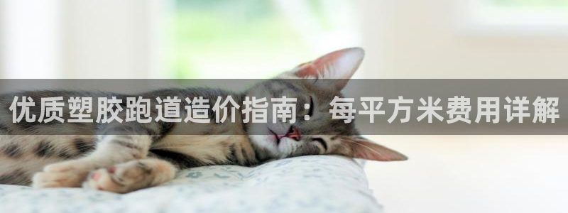 红足一丰：优质塑胶跑道造价指南：每平方米费用详解