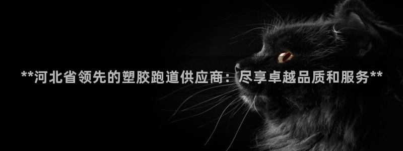 红足一1世皇冠：**河北省领先的塑胶跑道供应商：尽享卓越品质和服务**