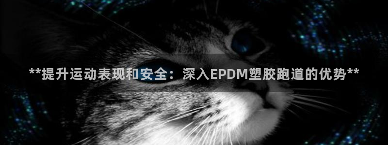 红足一1世开奖记录：**提升运动表现和安全：深入EPDM塑胶跑道的优势**