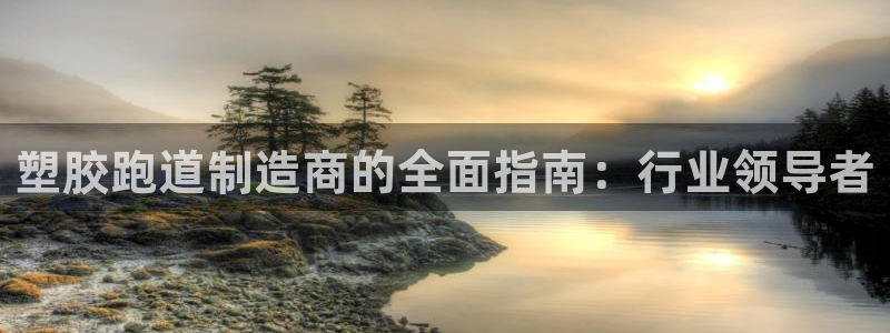 红足一球：塑胶跑道制造商的全面指南：行业领导者