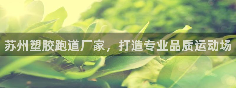 红足1世足球比分预测：苏州塑胶跑道厂家，打造专业品质运动场