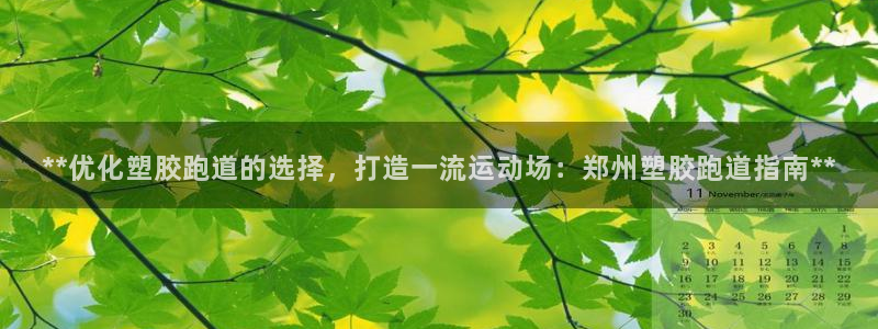 红足1世足球比分网址：**优化塑胶跑道的选择，打造一流运动场：郑州塑胶跑道指南**
