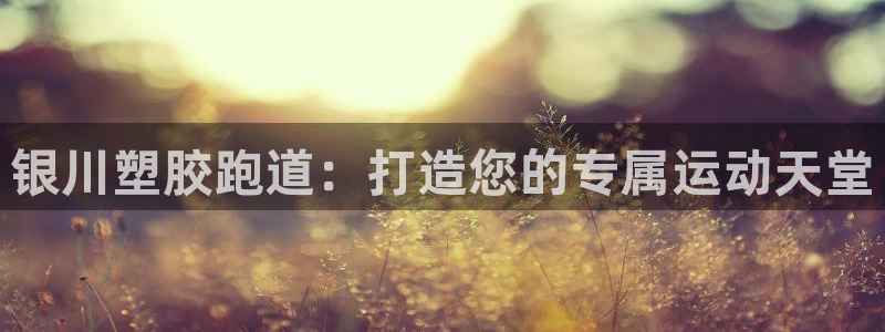 红足一1世官网比分：银川塑胶跑道：打造您的专属运动天堂
