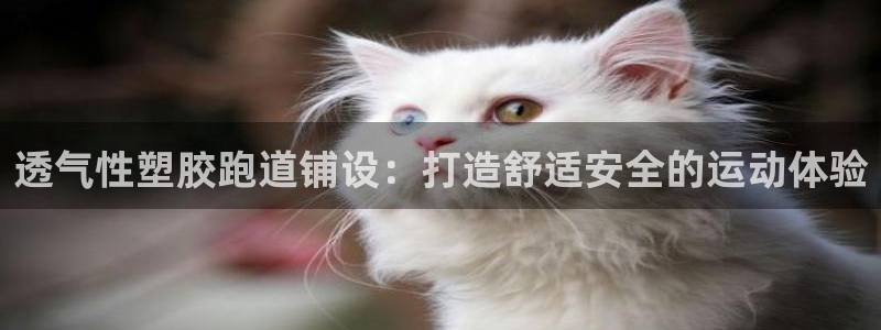红足一一世：透气性塑胶跑道铺设：打造舒适安全的运动体验