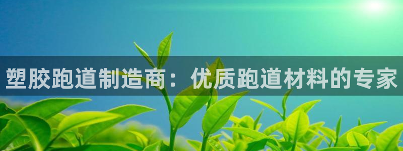 红世一足球比分：塑胶跑道制造商：优质跑道材料的专家