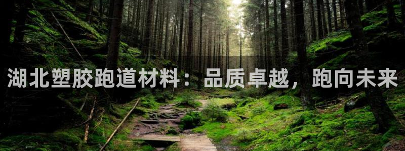 新2足球平台出租网站：湖北塑胶跑道材料：品质卓越，跑向未来