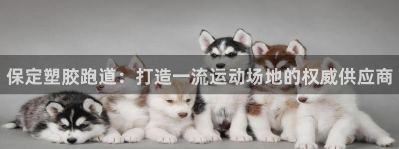 红足1世手机下载：保定塑胶跑道：打造一流运动场地的权威供应商